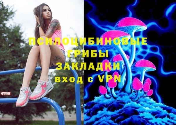 стафф Кулебаки