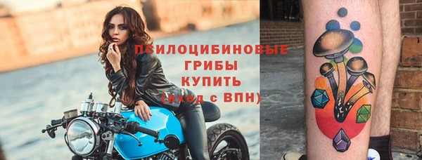 стафф Кулебаки