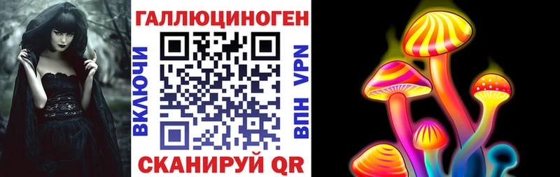 магазин продажи наркотиков  hydra ССЫЛКА  Псилоцибиновые грибы Psilocybe  Новоульяновск 